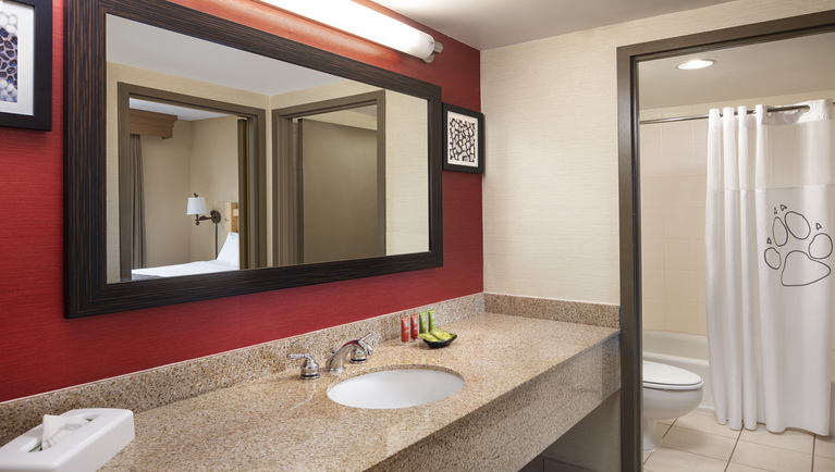 The bathroom in the Royal Wolf Den Suite